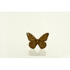 Floss/Thread Bobbin Butterfly  55mm